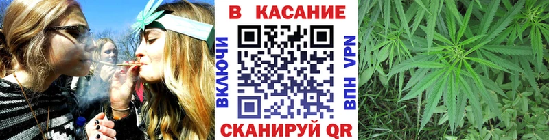 МЕФ Назрань