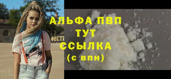прущие грибы Заволжье
