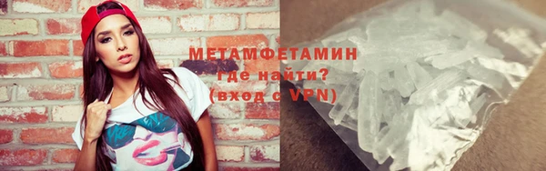 прущие грибы Заволжье