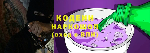 прущие грибы Заволжье