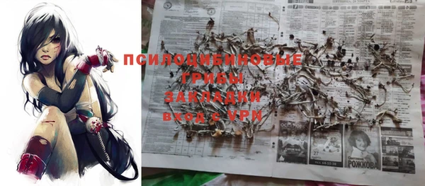 амф Заводоуковск