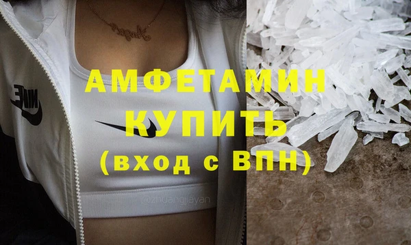 прущие грибы Заволжье