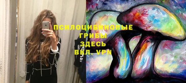 прущие грибы Заволжье
