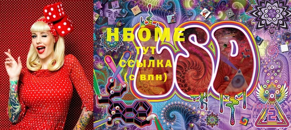 прущие грибы Заволжье